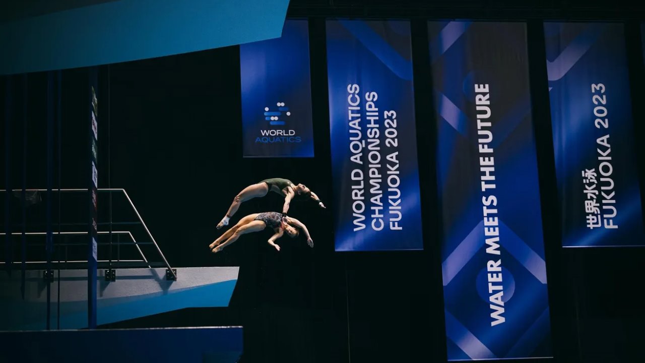 World Diving Championships