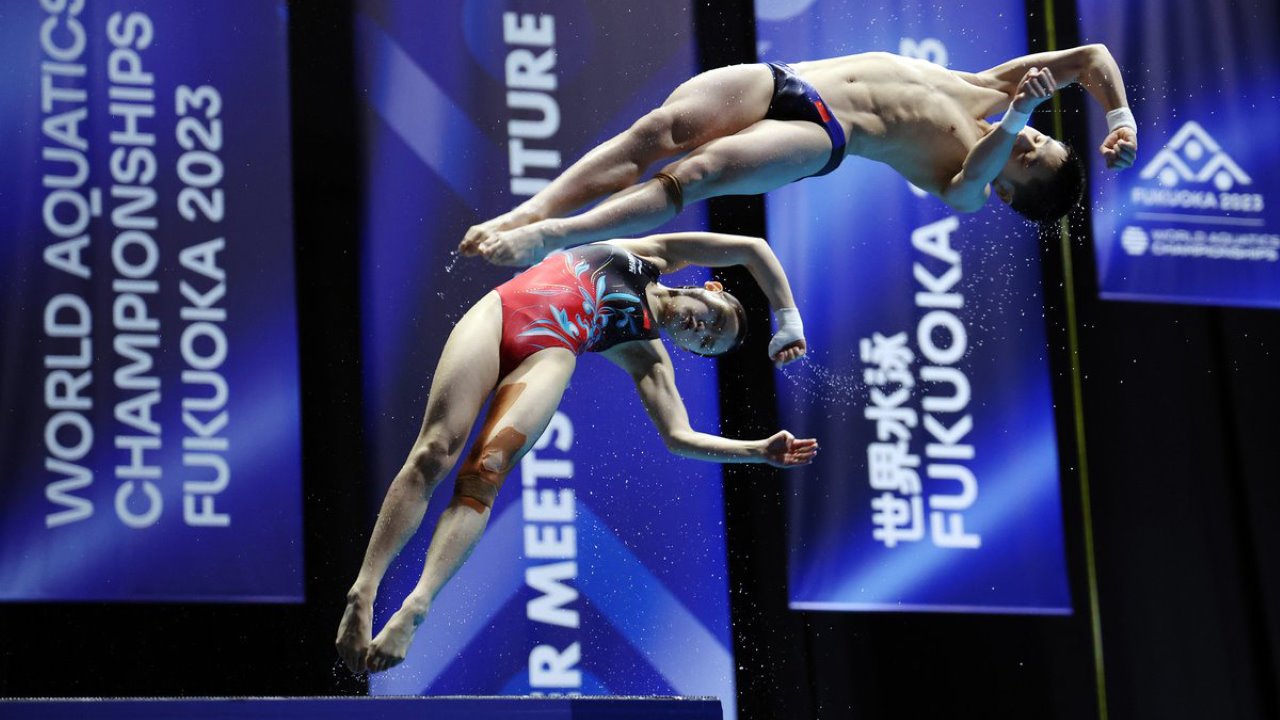 World Diving Championships