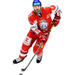 Gothenburg Sweden December 2018 Swedish Hockey League Match Frolunda Rogle  – Stock Editorial Photo © Michael715 #254689758