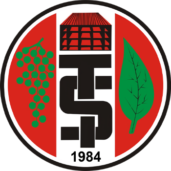 home team badge