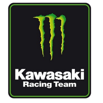 Team Badge