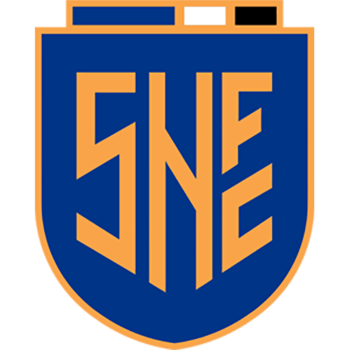 Team Badge