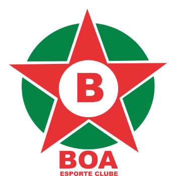 home team badge