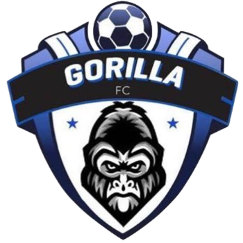 Team Badge