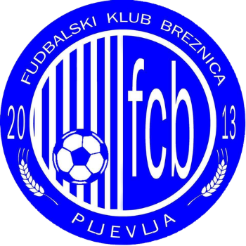 Team Badge