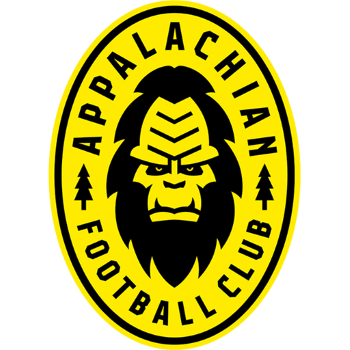 Team Badge