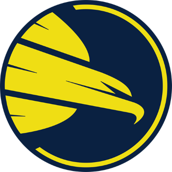 Team Badge