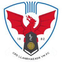 Team Badge