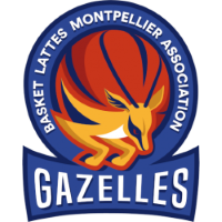 Former team badge icon