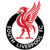 home team badge