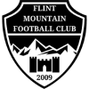 home team badge