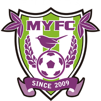 Team Badge