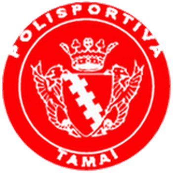 Team Badge