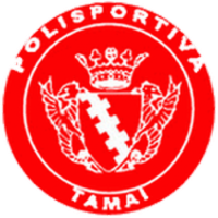 Team Badge