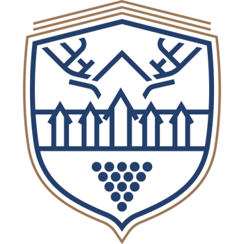 Team Badge