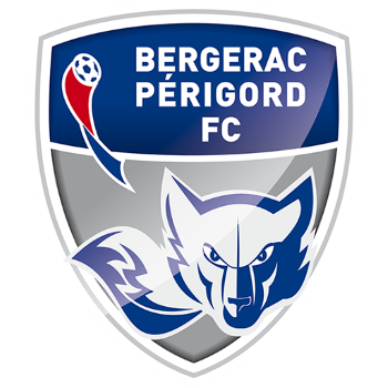 Team Badge