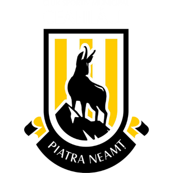 Team Badge