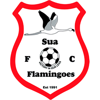 home team badge