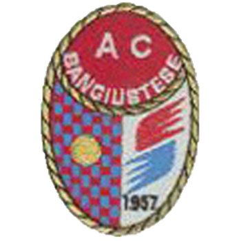 Team Badge