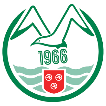 home team badge