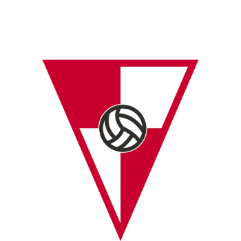 Team Badge