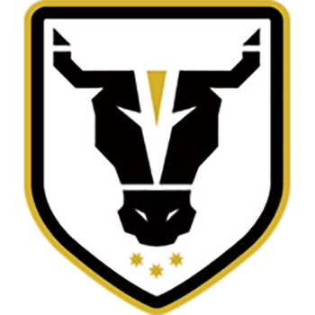 Team Badge