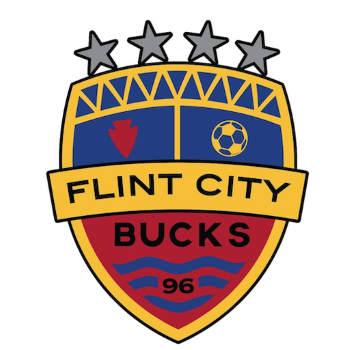 Team Badge