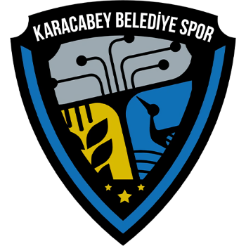 Team Badge