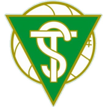 Team Badge