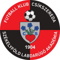 Team Badge