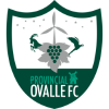 Away Team Badge