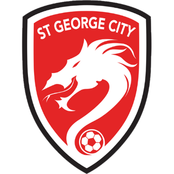 Team Badge