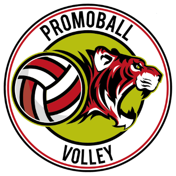 Team Badge