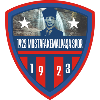 Team Badge