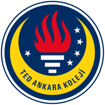 Team Badge