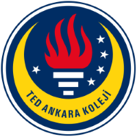 Former team badge icon