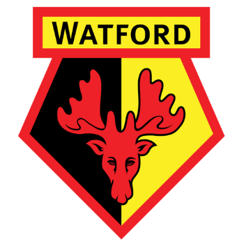 home team badge