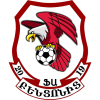 home team badge