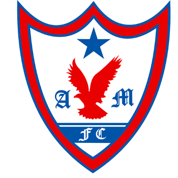 Team Badge