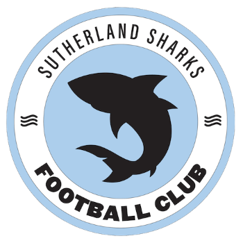 Team Badge