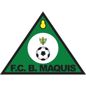 home team badge