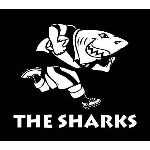 Sharks setting the standard in the Currie Cup