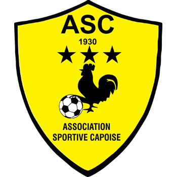 Team Badge