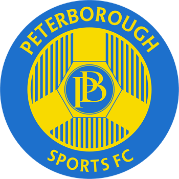 Team Badge