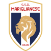 home team badge