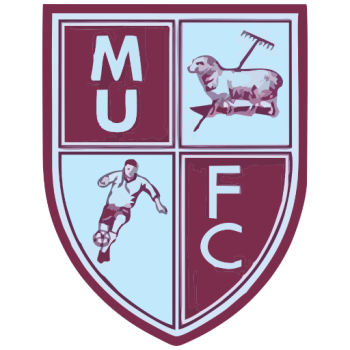 Team Badge