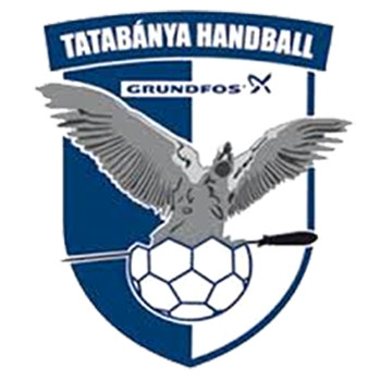 Team Badge