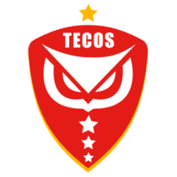 Team Badge