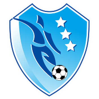 Team Badge