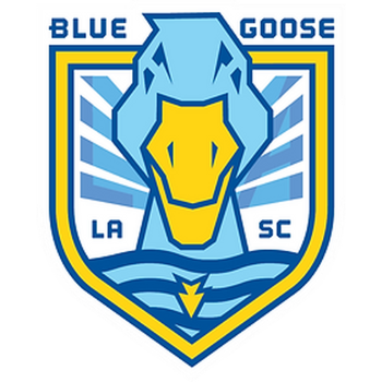 Team Badge